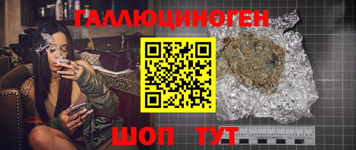 Псилоцибиновые грибы Cubensis Дзержинский
